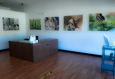CERTIFIED MARIJUANA DOCTORS