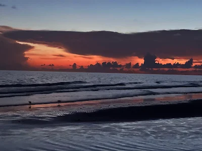 Siesta Beach