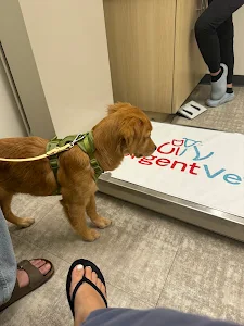 UrgentVet