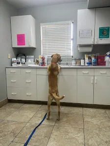 Southgate Animal Hospital