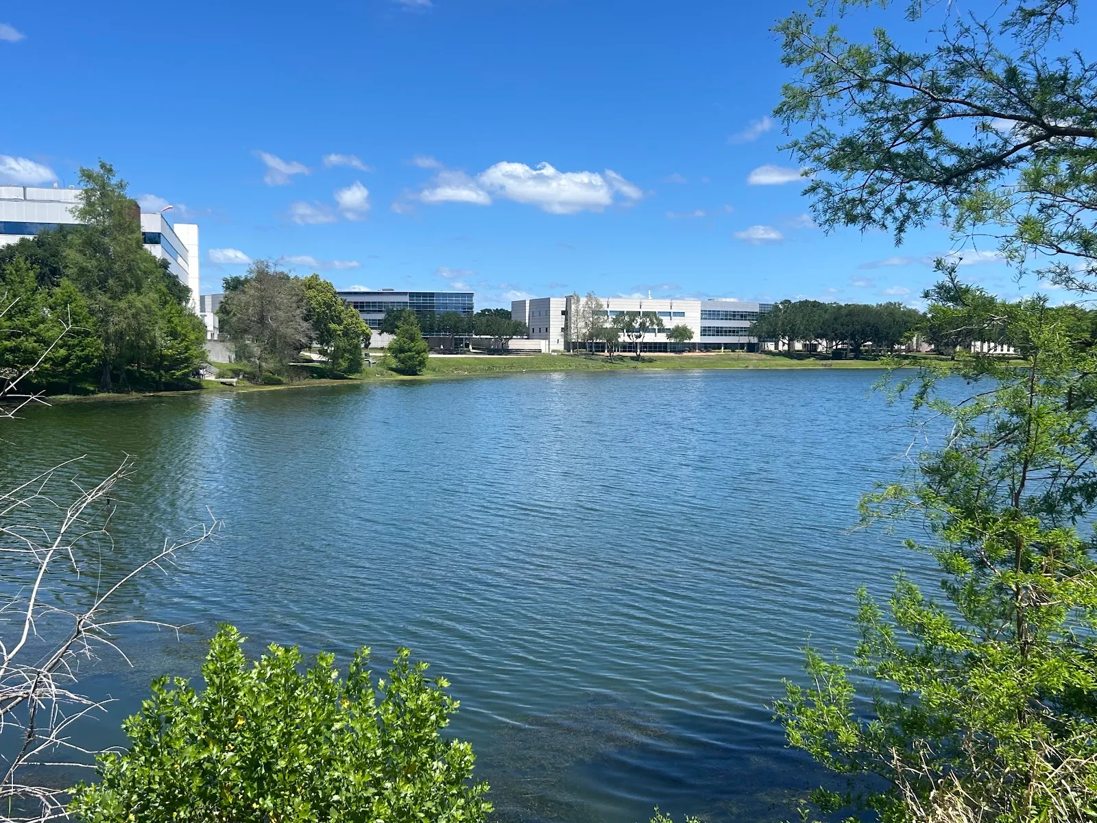 AdventHealth Orlando