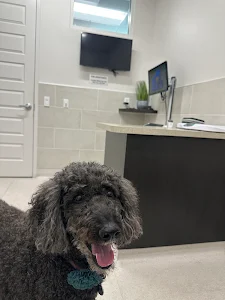 Veterinary Medical Center at Lakewood Ranch