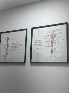 Orlando Spine Studio