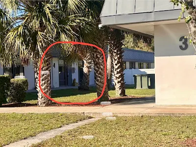 The Releaf Clinic Jacksonville