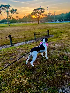 Veterinary Medical Center at Lakewood Ranch