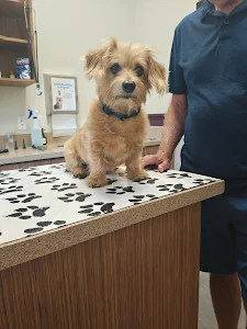 Sand Lake Animal Clinic