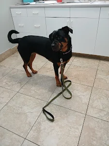 Southgate Animal Hospital