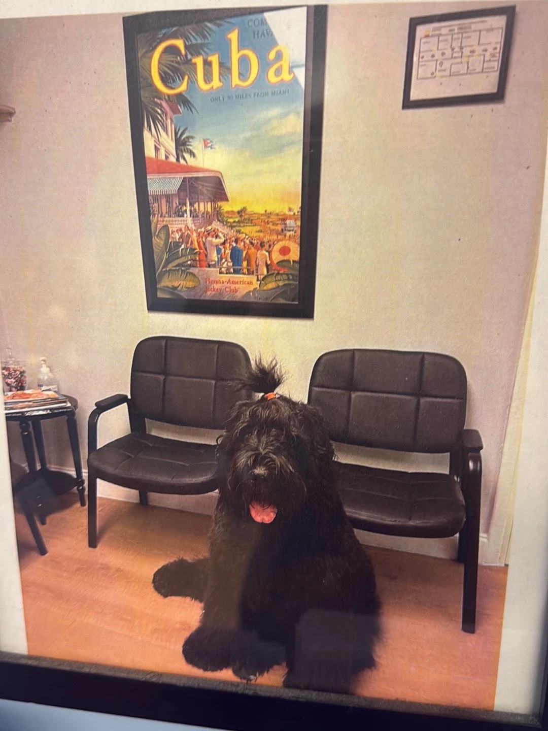 West Coast Health & Wellness
