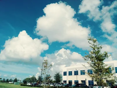 Florida Vision Institute