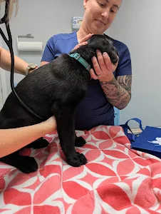 Animal Medical Clinic of Gulf Gate