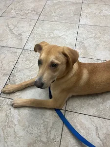 Southgate Animal Hospital