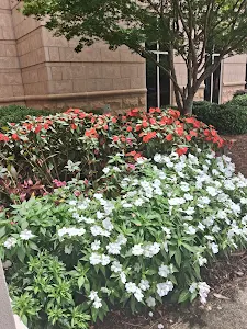 Woodlands Medical Specialists