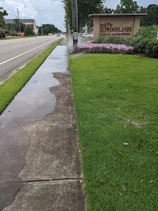 Woodlands Medical Specialists