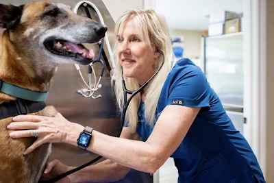 Sarasota Animal Medical Center