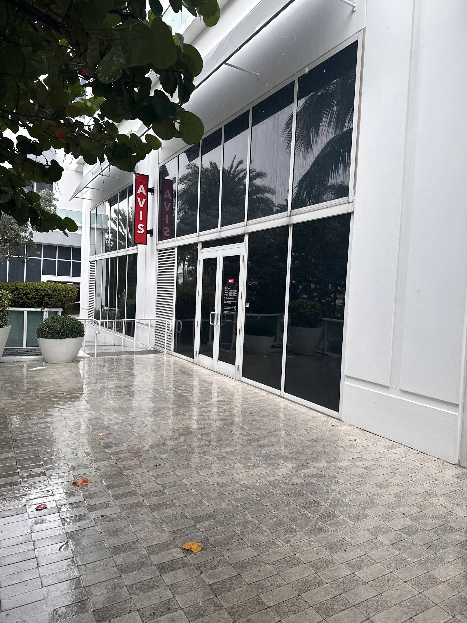 Avis Car Rental