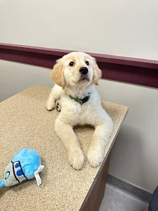 Sand Lake Animal Clinic