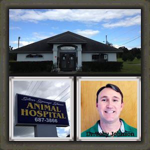 Silver Springs Shores Animal Hospital