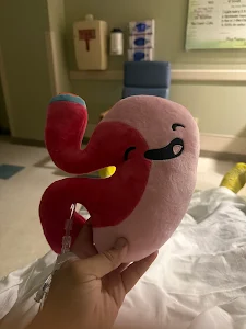 Manatee Memorial Hospital