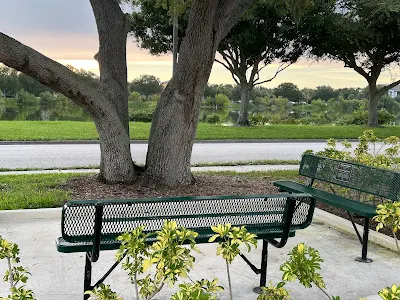 Physical therapy at Encompass Health Rehabilitation Hospital of Sarasota