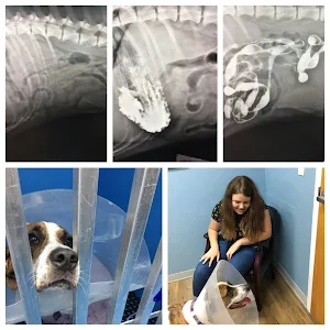 Silver Springs Shores Animal Hospital