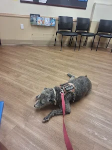 Florida Department of Health in Manatee County