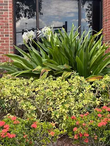 Orlando Family Physicians