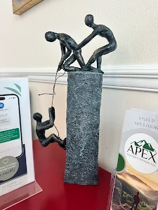 Apex Psychiatric Services, LLC