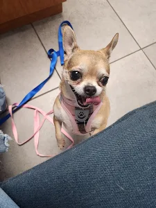 Pebble Creek Animal Hospital