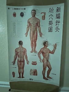 Chinese Medical Clinic