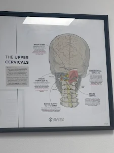 Orlando Spine Studio